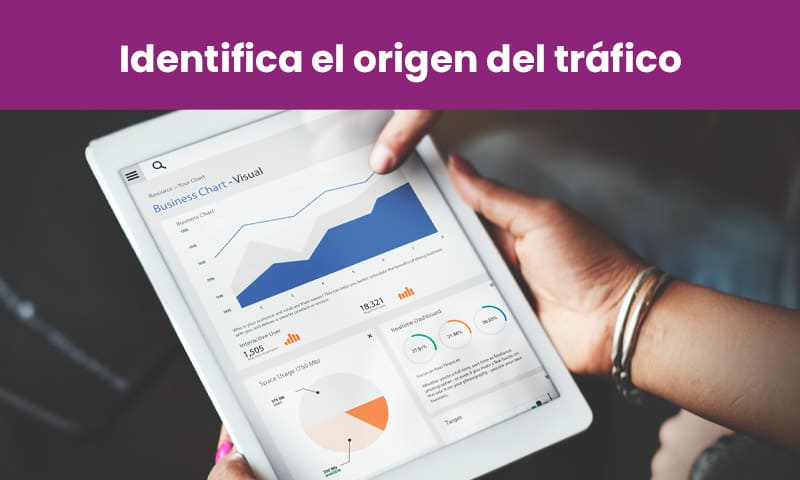 trafico en pagina web