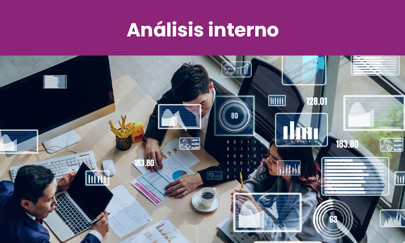 analisis interno de una empresa